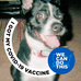 Caroline Mcclain - Facebook