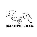 Caroline McCoy - @holsteinersandco - Instagram
