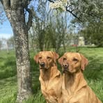 Caroline McDonnell - Facebook