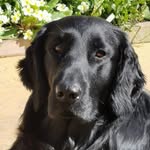 Caroline Mcgregor - @carolinepmcgregor - Instagram