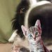 Carrie McGregor - Facebook