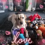 Caroline Mcintosh - @caroline.lamond.56 - Instagram