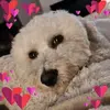 Caroline Mcintosh - @caroline.mcintosh8 - TikTok