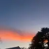 caroline - @caroline.mcmanus - TikTok