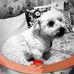 Caroline Montgomery - Facebook