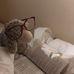 Caroline Morello - Facebook