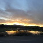 Caroline Mullin - @cmullin_ut - Instagram