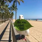 Caroline Nash - Facebook
