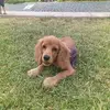 Caroline New - @carolinenew - TikTok