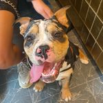 Caroline Ogden - @carolineogden4314 - Instagram