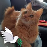 Carolyn Padgett Ratliff - @carolrat - Instagram
