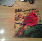 Carol Pegram - Facebook