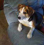 Carol Pegram - Facebook