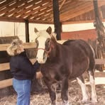 Carol Willard Pegram - Facebook