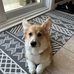 Caroline Perron - Facebook