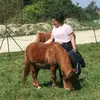 Caroline Petit - @caroline.petit - TikTok
