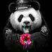 Carol Pitcher - Facebook