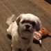 Carolyn Plank - Facebook