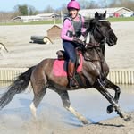 Holly Bank Farm riding school - @caroline.platt1 - Instagram