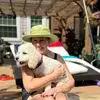 Caroline Potter - @caroline.potter4 - TikTok