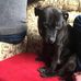 Caroline Potter - Facebook
