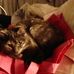 Caroline Pounds - Facebook