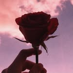 Carolineprather - @sweet_caroline581 - Instagram