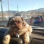 Carolyn Putnam - @cboobaby51 - Instagram