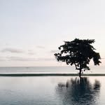 Caroline Rabe - @lacaroline - Instagram