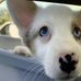 Caroline Raines - Facebook