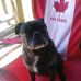 Caroline Elizabeth Rands - Facebook