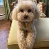 carolinerocks1 - @carolinerocks1 - TikTok