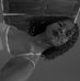 Caroline Rosa - Facebook