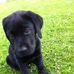 Caroline Rosenberg - Facebook
