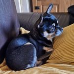 Caroline Rowley - @caroline.robinson.54 - Instagram
