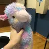 cara - @caroline.rubin - TikTok