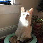 Caroline Rubin - @1964carrier - Instagram