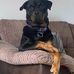 Caroline Rumney - Facebook