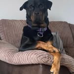 Caroline Rumney - @carolinerumney - Instagram