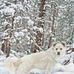 Carol Rupp - Facebook