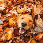 Caroline Russo - @hudson_valley_scout - Instagram