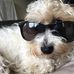 Caroline Rutter - Facebook