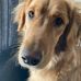 Caroline Rutter - Facebook
