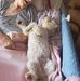 Caroline Rutter - Facebook