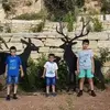 Caroline M Shaheen S - @carolinemshaheensamaan - TikTok