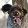 Carol Schauer - @carolschauer - TikTok