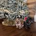 Caroline Sherman - Facebook