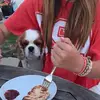 carol? - @carolineshieldsspam - TikTok