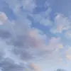 Caroline Shields - @caroline.shields8 - TikTok