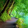 Caroline_Spring - @caroline_spring - TikTok